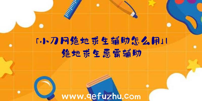 「小刀网绝地求生辅助怎么用」|绝地求生恶霸辅助